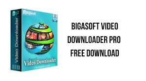 Bigasoft Video Downloader 