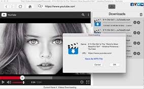 Bigasoft Video Downloader 