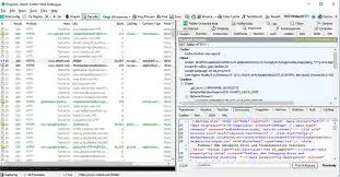 HTTP Debugger Pro Peygen Preciso + Download grátis [2024]