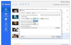 Bigasoft Video Downloader 