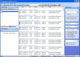 Duplicate File Detective Free Download + Accurately [2024]